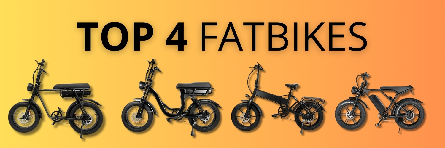 TOP 5 FATBIKES Fatbikekoning.nl (1500 x 500 px)(1)