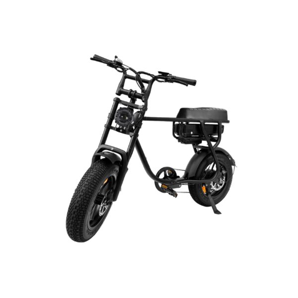 EB16 zwart Elektrische Fatbike – 250W