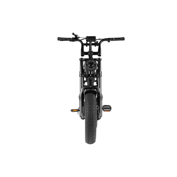 EB16 zwart Elektrische Fatbike – 250W