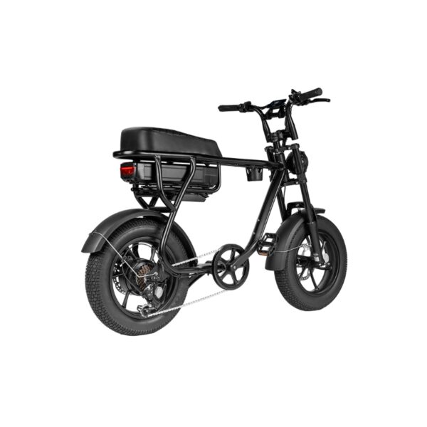 EB16 zwart Elektrische Fatbike – 250W