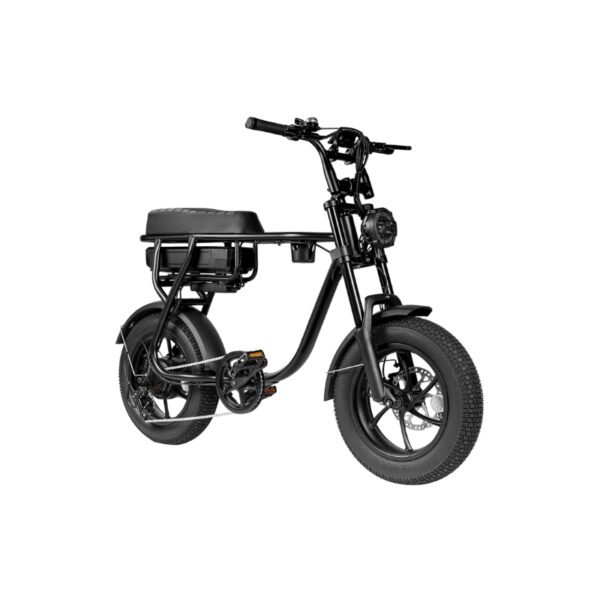 EB16 zwart Elektrische Fatbike – 250W