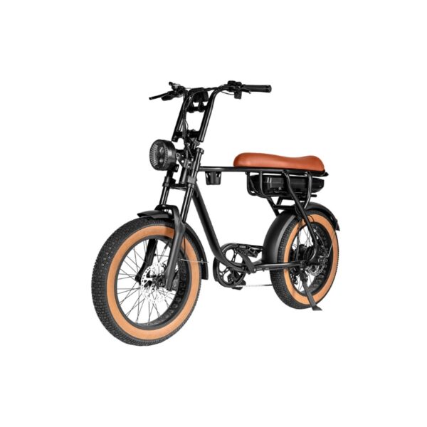 EB20 bruin Elektrische Fatbike – 250W (1)