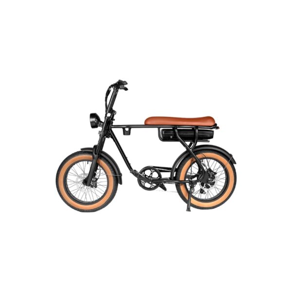 EB20 bruin Elektrische Fatbike – 250W (1)