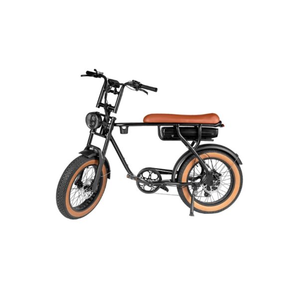 EB20 bruin Elektrische Fatbike – 250W (1)