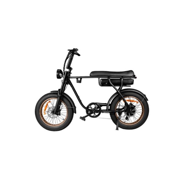 EB20 zwart Elektrische Fatbike – 250W