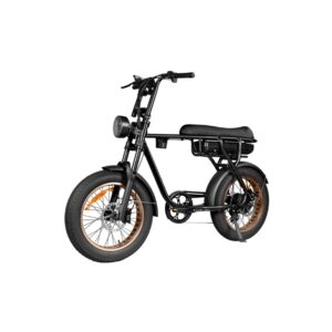 EB20 zwart Elektrische Fatbike – 250W