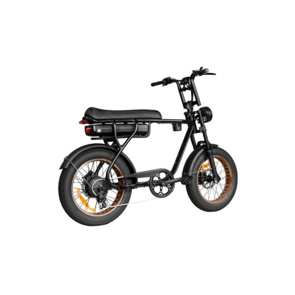 EB20 zwart Elektrische Fatbike – 250W