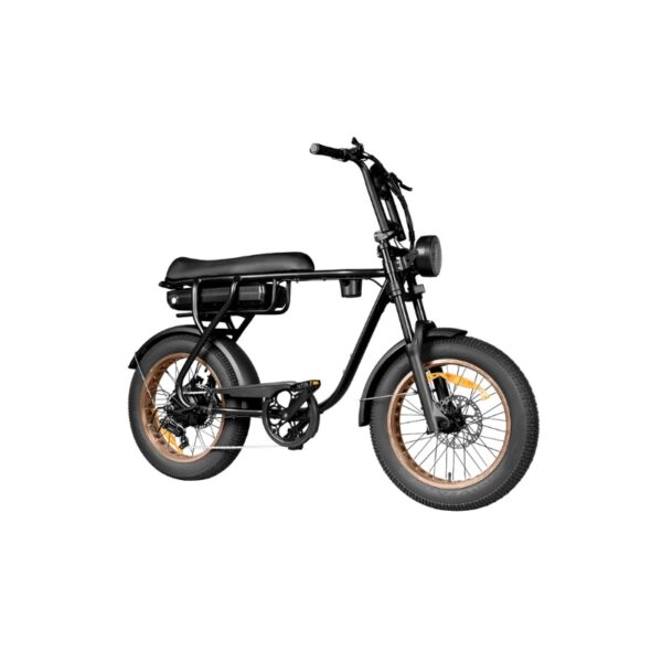 EB20 zwart Elektrische Fatbike – 250W