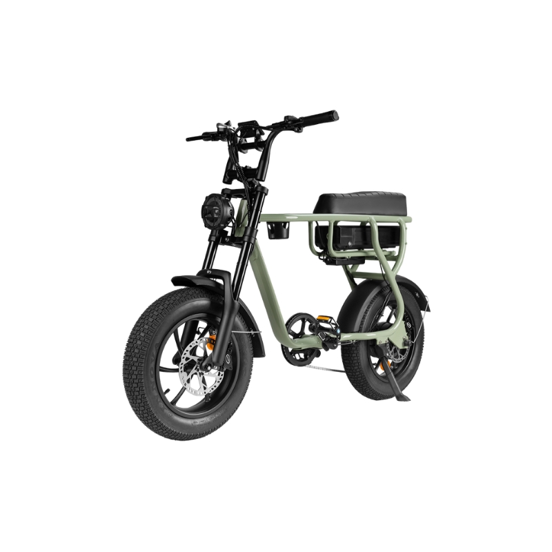 EB16 groen Elektrische Fatbike – 250W