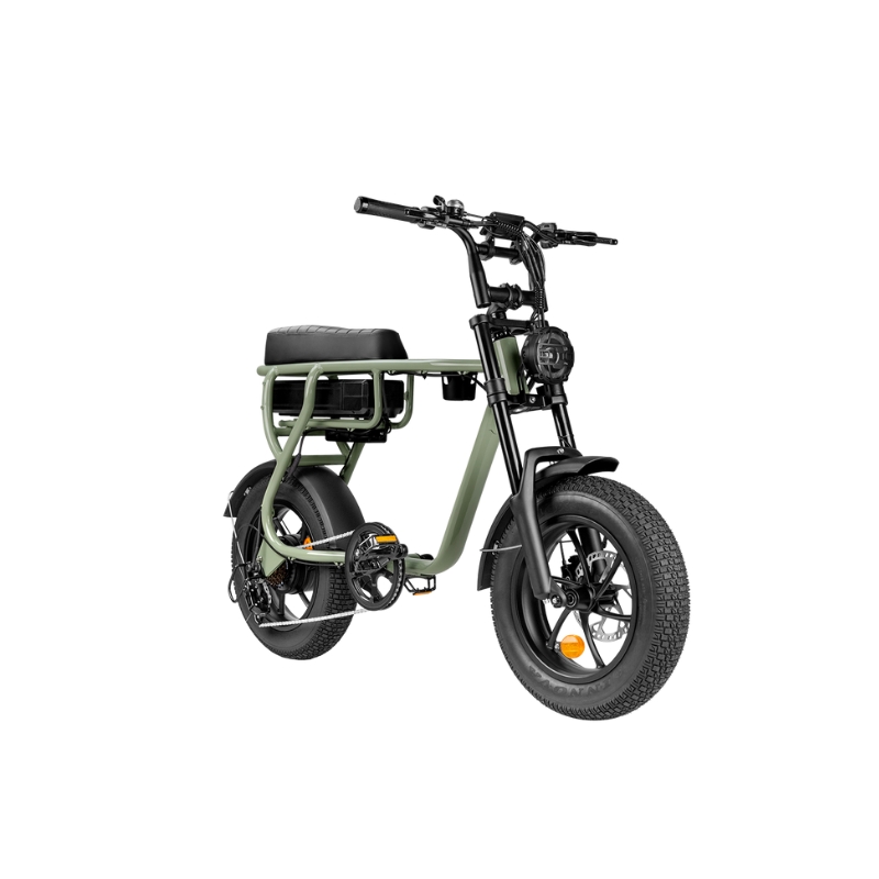 EB16 groen Elektrische Fatbike – 250W