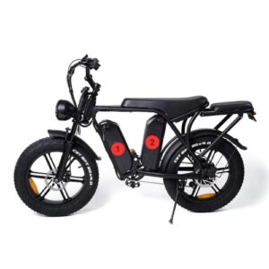 Dubbele accu fatbikes