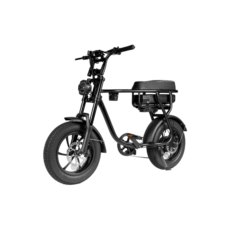 EB16 zwart Elektrische Fatbike – 250W