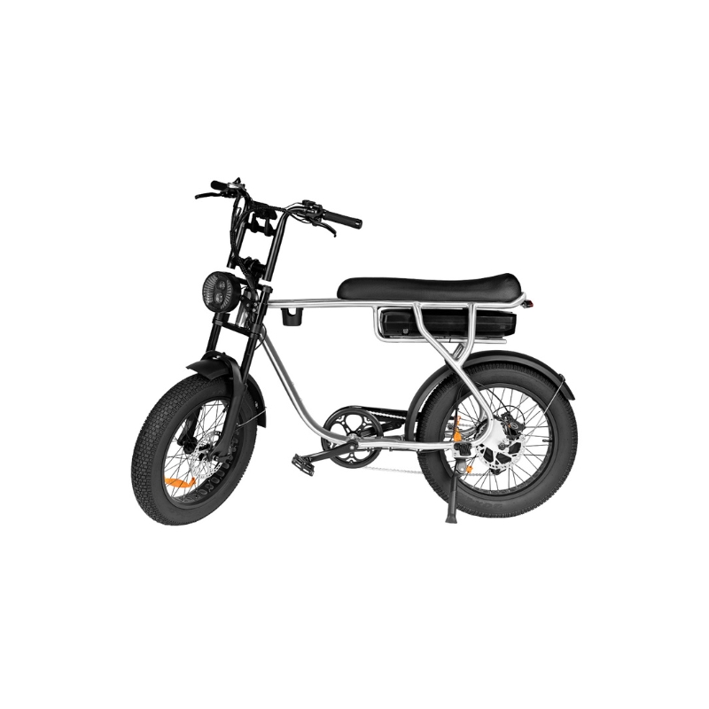 EB20 zilver Elektrische Fatbike – 250W