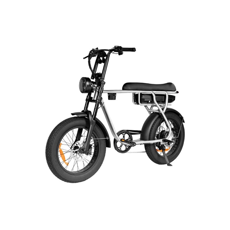 EB20 zilver Elektrische Fatbike – 250W