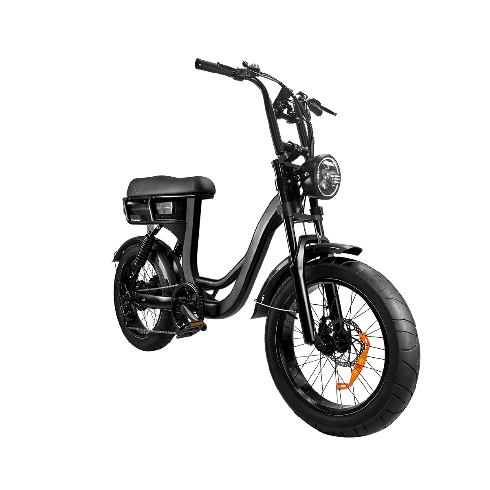 EB8 fatbike zwart (2)