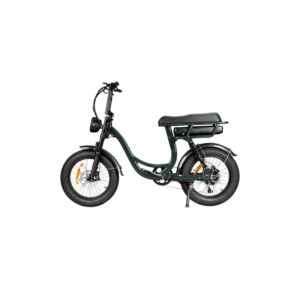 EB8 Elektrische Fatbike – 250W – 18.2Ah – 20 inch – Groen