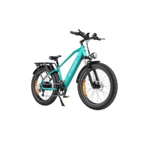 ENGWE E26 Hoge Stap Fatbike Edelsteengroen