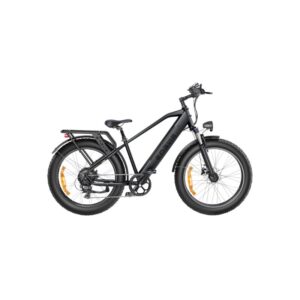 ENGWE E26 Hoge Instap Fatbike Galaxy Grey
