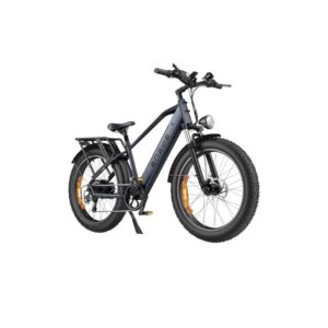 ENGWE E26 Hoge Instap Fatbike Galaxy Grey