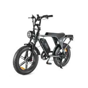 OUXI V8 grijs elektrische Fatbike 250W motor(2)